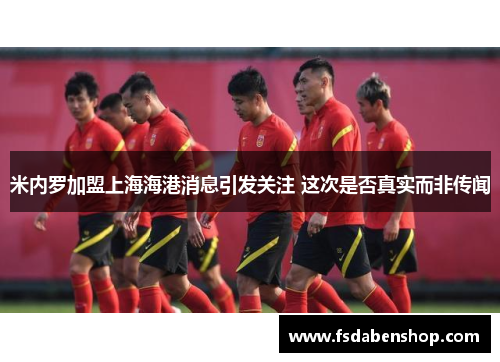 米内罗加盟上海海港消息引发关注 这次是否真实而非传闻